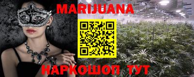 мяу мяу мука Моздок