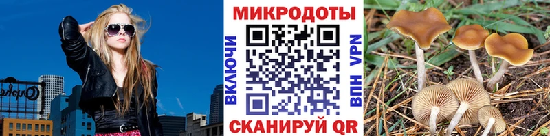 Псилоцибиновые грибы мухоморы  сайты даркнета телеграм  Омск 