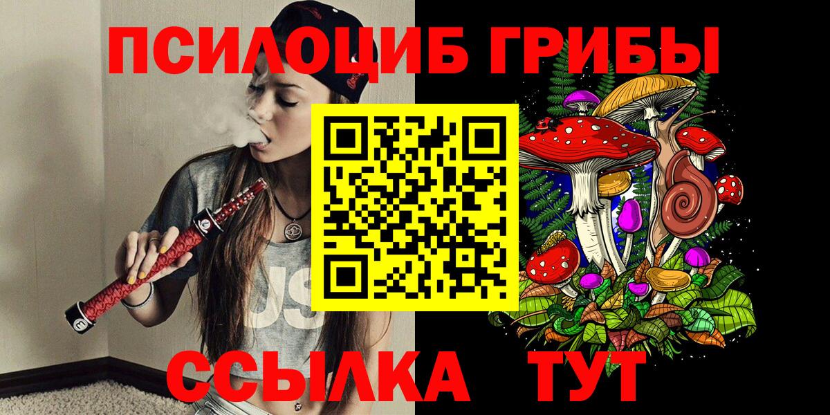 Псилоцибиновые грибы Psilocybine cubensis Омск
