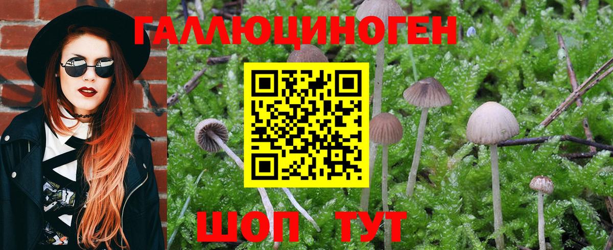 Омск  Псилоцибиновые грибы Magic Shrooms  Псилоцибиновые грибы MAGIC MUSHROOMS  Вход с VPN 